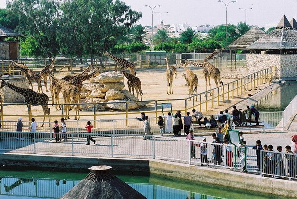 Photo of اماكن سياحية في قطر