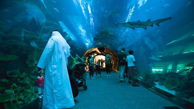 Photo of افضل اماكن سياحية في دبي 2024