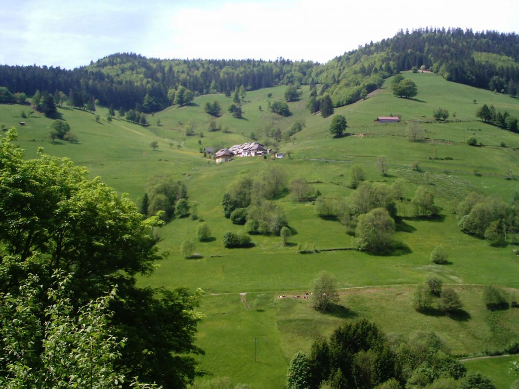 Photo of رحلة الي الغابة السوداء أجمل المناطق السياحية في أوروبا
