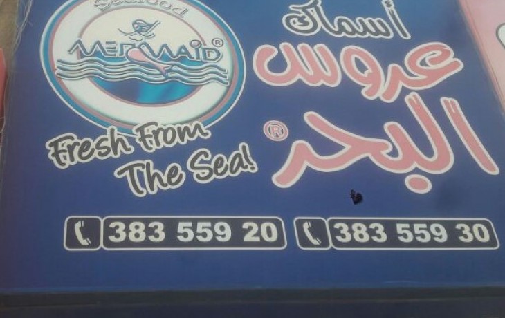 Photo of منيو اسعار مطعم عروس البحر اخر تحديث ورقم خدمة التوصيل