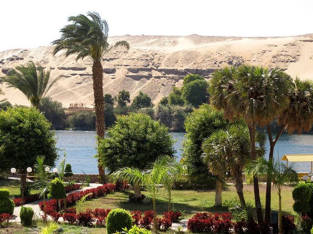 Photo of تقرير عن جزيرة النباتات في أسوان بالصور وأسعار الدخول