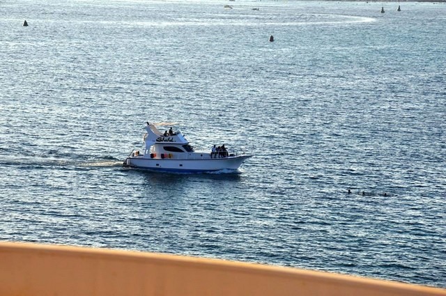 Photo of تقرير عن فندق ديلمار مرسى مطروح أسعاره وكيفية الحجز