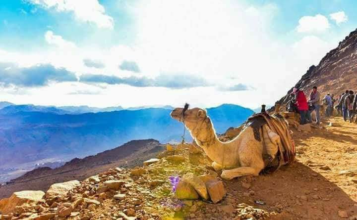 رحلات سانت كاترين وأهم الأماكن بها