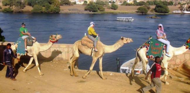 Photo of أهم الأنشطة السياحية في غرب سهيل