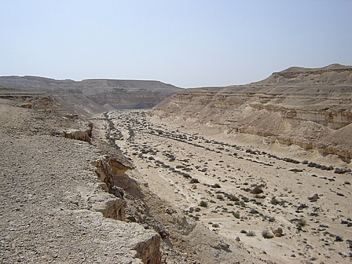 Photo of محمية وادي دجلة أسعارها ومواعيد العمل