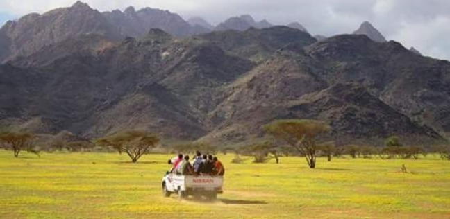 Photo of أهم ملامح محمية جبل علبة وأهم المميزات