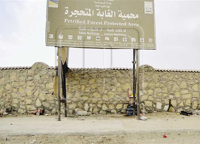 Photo of أهم الأنشطة الترفيهية في محمية الغابة المتحجرة