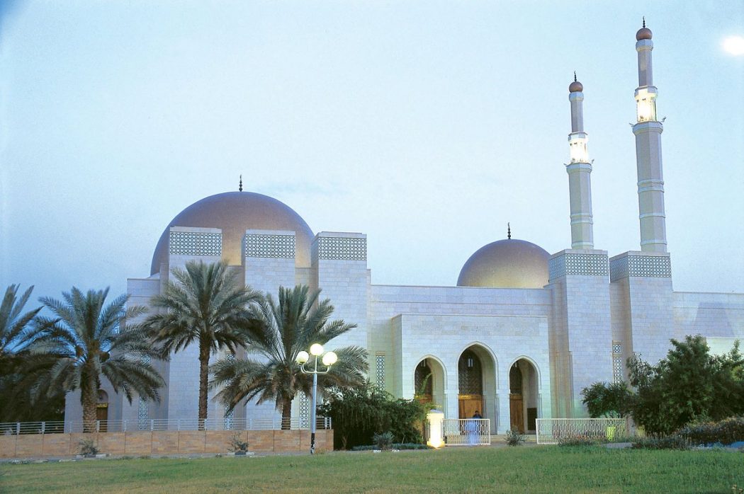 Photo of جولة فى مدينة الجوف بالصور وأهم الأنشطة