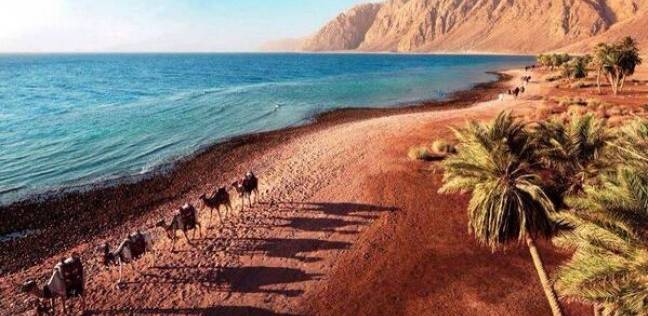 Photo of رحلات عيد الاضحى في دهب 2024.. تعرف الان على اقوى الرحلات ، تفاصيل خطة الأسعار