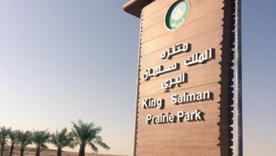 Photo of أنشطة ترفيهية في منتزه الملك سلمان الرياض أسعار وأوقات الدخول والفنادق القريبة