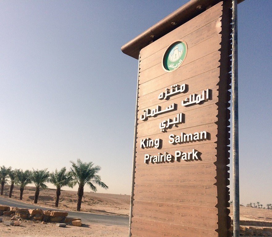 أنشطة ترفيهية في منتزه الملك سلمان الرياض أسعار وأوقات الدخول والفنادق القريبة